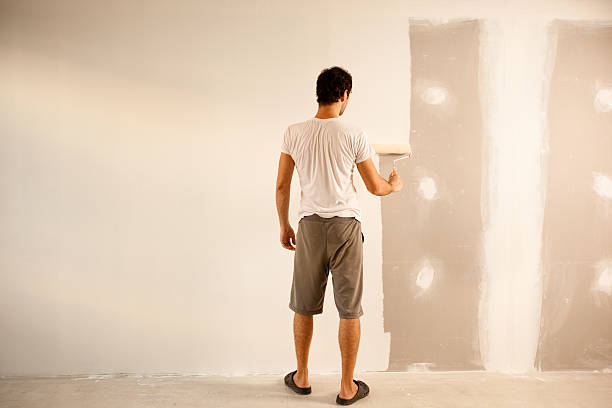 Best Drywall Removal and Disposal  in Ballenger Creek, MD